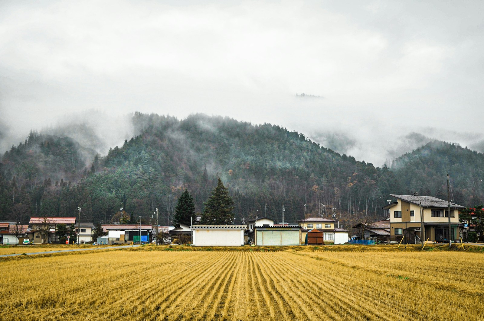 日本の田舎